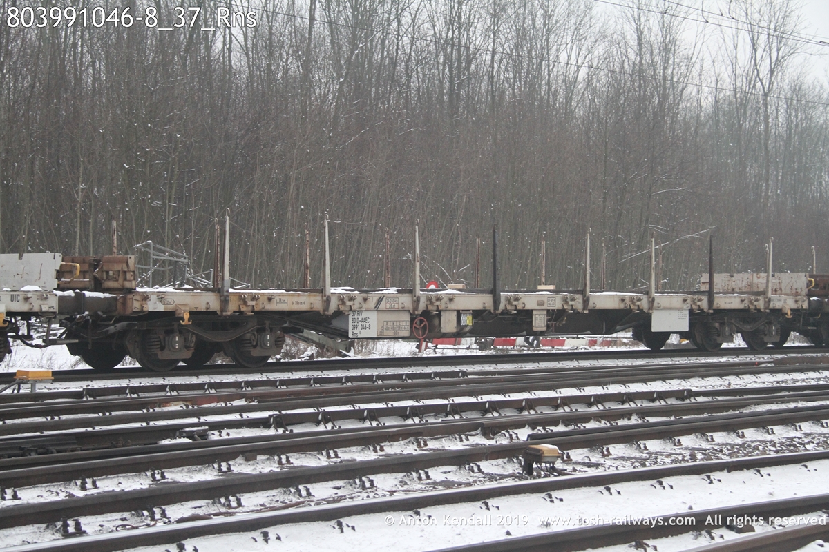 803991046-8_37_Rns.JPG